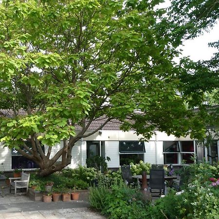 Huis Bij De Catalpa Dordrecht Exteriér fotografie