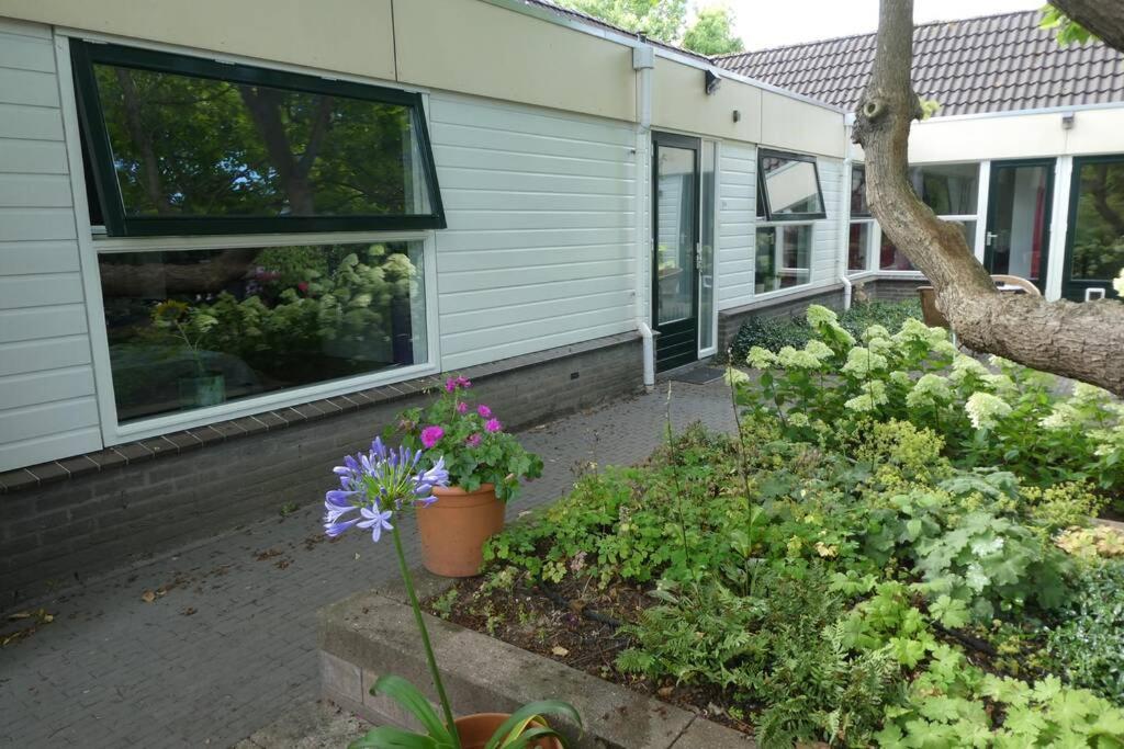 Huis Bij De Catalpa Dordrecht Exteriér fotografie